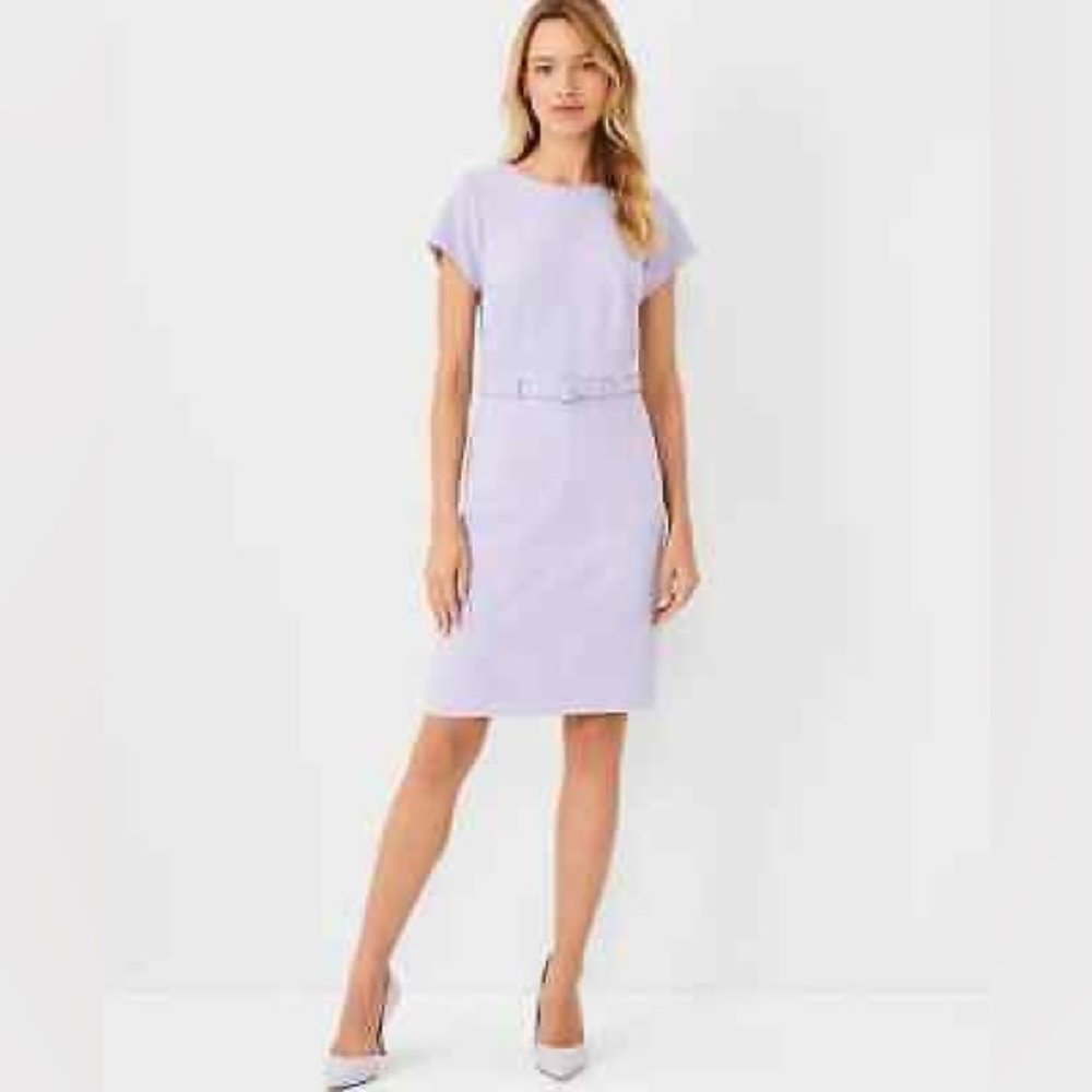 Ann Taylor Light Purple Seamed Belted Dress Size 6